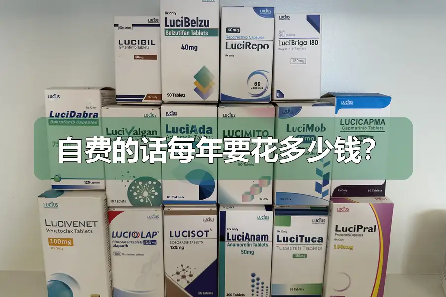 自费的话每年要花多少钱?